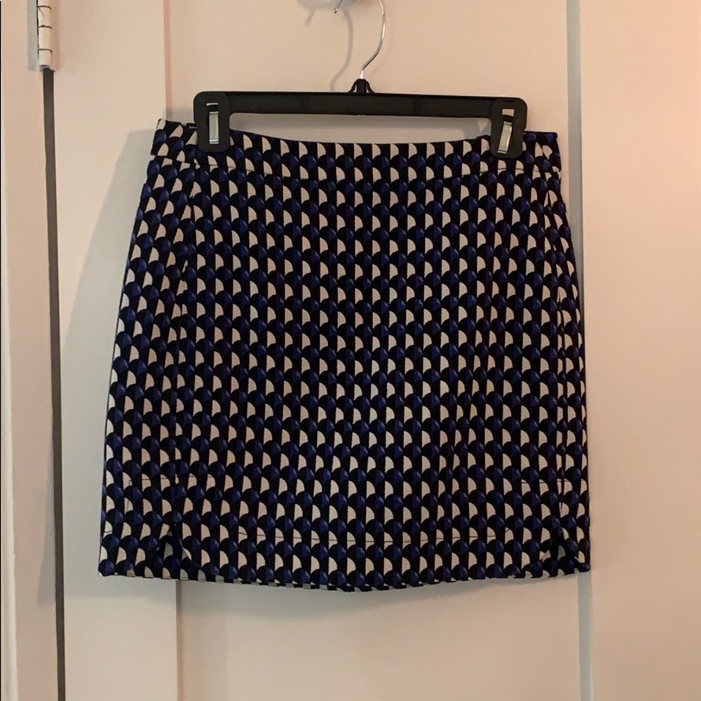 J.Crew Skirt